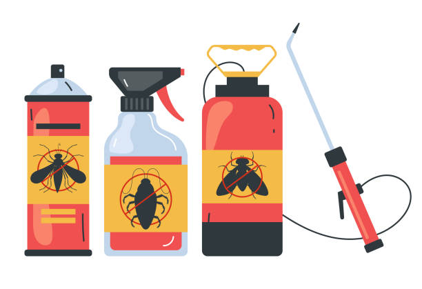 Trusted Manasota Key, FL Pest Control Experts