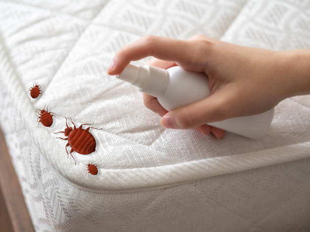 Best Pest Prevention Services  in Manasota Key, FL